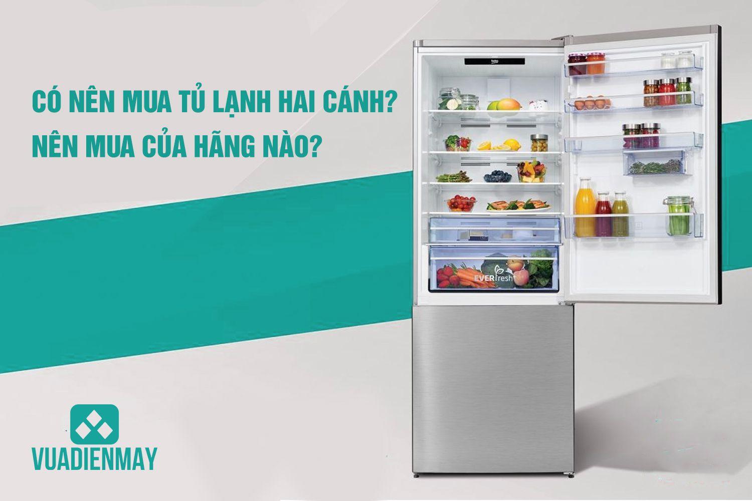 CÓ NÊN MUA TỦ LẠNH 2 CÁNH? NÊN MUA CỦA HÃNG NÀO?